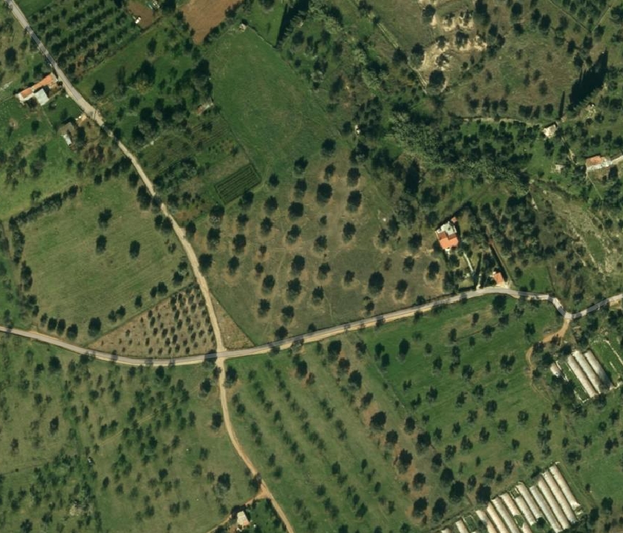 Πωλείται Οικόπεδο 20.000 τ.μ